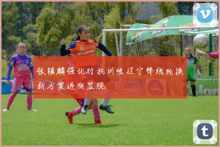 张镇麟强化对抗训练辽宁锋线轮换新方案逐渐显现