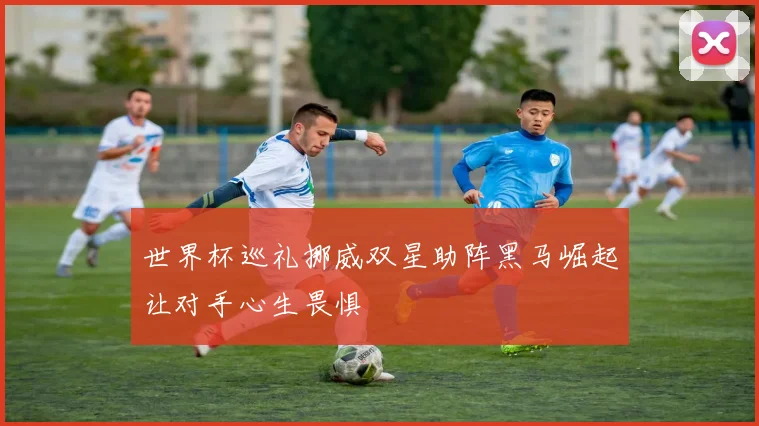 世界杯巡礼挪威双星助阵黑马崛起让对手心生畏惧