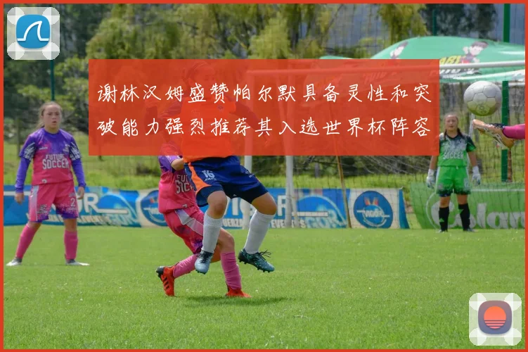 谢林汉姆盛赞帕尔默具备灵性和突破能力强烈推荐其入选世界杯阵容